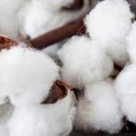 Cotton wool close up against wooden background close up